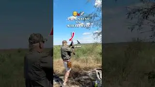70 Year Old Vs. White Winged Dove