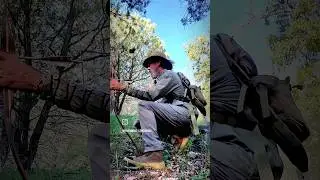 The 