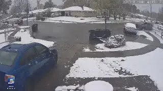 Security video shows car crash into Springfield Township home