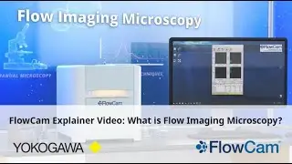FlowCam Explainer Video - What is Flow Imaging Microscopy?