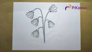 How to Draw a Bluebell Flowers Easy step by step