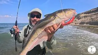 Primer pesca del año y salieron los grandes