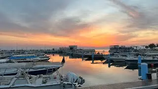 Diving in Jubail (June Days)