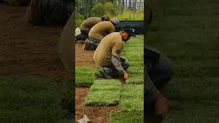 Malibu - Double Green Landscaping team in action.