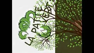 ​🪚 Un arbre &agrave; abattre  ? ​L'entreprise La Patte Verte s'occupe de tout !📍