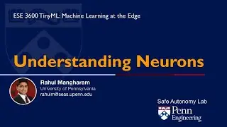 3.1 Understanding Neurons