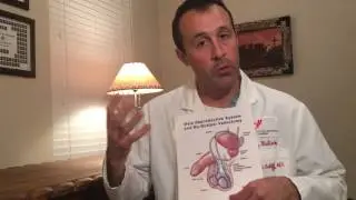 Pre Vasectomy Counselling Video - Gentle Procedures Clinic Dallas
