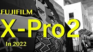 X-Pro2 в 22-м | Первый снимок. Никаких сожалений.