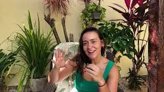 Não tenha metas para 2026