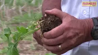 Advice on improving soil structure for autumn drilling success