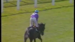1983 Coventry Stakes Chief Singer Includes Post Race Replays & Enclosure