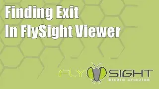 Finding Exit in FlySight Viewer