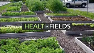 Brownfields to Healthfields