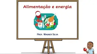 Aula: Alimenta&ccedil;&atilde;o e energia | 4&ordm; ANO | Ensino fundamental