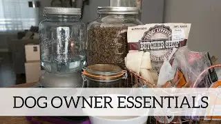 First Time Dog Owner Essentials