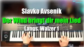Pa1000/4X - Slavko Avsenik 