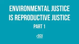 Environmental Justice is Reproductive Justice (1/8)