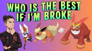 The Top 10 Budget DynaMax Attackers