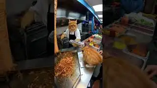 Orange Cat Dad Works at BBQ Restaurant with His Kittens&hellip; Chaos Ensues #cat #shorts