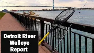 Detroit River Walleye Report. Sunday October 27th, 2024. Bonus Fish Caught.