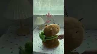 Cute Capybara Plush Toy for Graduation #fok #capybara #graduationgift
