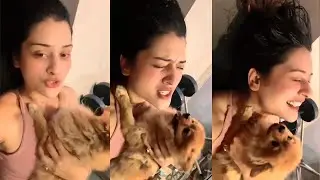 Payal Rajput Playing With Her Cute Pet Dog | Payal Rajput Latest Video | Cinema Nestam