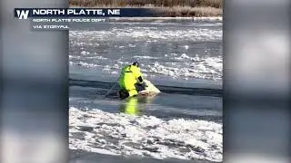 Dog Rescued After Falling Through Icy Pond