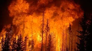 25 Most Destructive Wildfires Ever Recorded In History