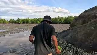 real life finding oysters in the sea