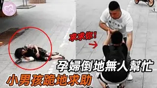 感人一幕，孕婦路上突然臨盆無人幫忙，小男孩跪地哭求男子的幫助！#暖心 #暖心故事 #正能量 #淚目 #生活 #溫暖 #社會新聞 #老人 #感動 #暖心時刻