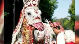 NJ Indian wedding at Indian Cultural Center of South Jersey