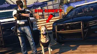 Patrolling With My K9 In GTA 5 RP!