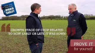 Growers plan your Hybrid Barley fertiliser spreading programme!