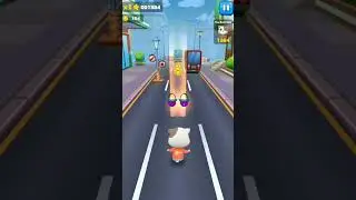 animal's run race part 2