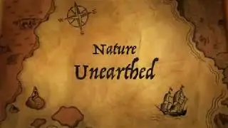 Nature Unearthed Trailer