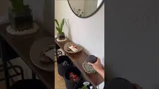 ENTRYWAY RESET ASMR