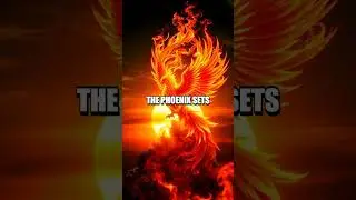 The Myth of the Phoenix