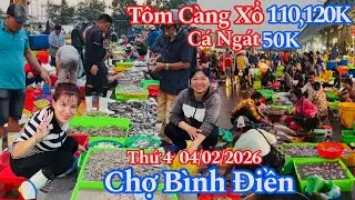Chợ Bình Điền Sáng Thứ 4 - Tôm Càng 110, 120K, Cá Ngát 50K, Cá Lăng 65K, Bông Lau 85K |04/02/2026 