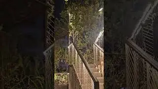 A hidden gem at Mirpur - Rave Buffet & Rooftop । Great Environment | Dhaka Restaurants