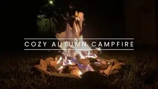 Cozy Autumn Campfire (No Loops) Real Campfire Ambiance 🔥