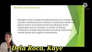 ANALYZING THE INTERNAL  ENVIRONMENT The Products and Market Context