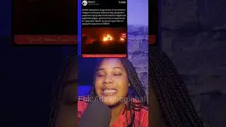 ISWAP Burns Christian Village in Adamawa: Convert or Die, They Say