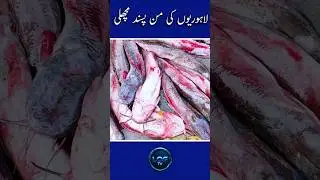 Favorite fish of Lahori |#fish |#fishfry |#food |#foodei |#streetfood |#fishmarket |#market |#shop