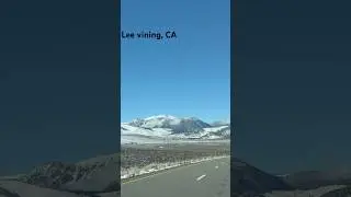 WinterWonderland@Lee Vining, CA