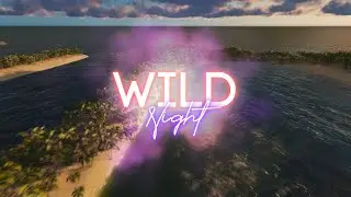 Lisa Schettner, Tyler Brooker - Wild Night [Official Lyric Video]
