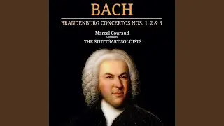 Brandenburg Concerto No. 2 in F Major, BWV 1047: III. Allegro assai