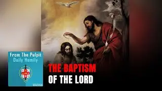 Daily IVE Homilies, January  11th, 2026 - The Baptism of the Lord