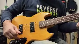 1973 Gibson SB-450 Bass Natural - HSC
