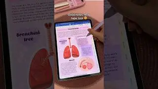 Goodnotes 6 new tape feature 🤯💕 iPad note taking | apple pencil | digital notes