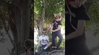 blooperz #antizoo #furry #funny #bloopers #therian #ants